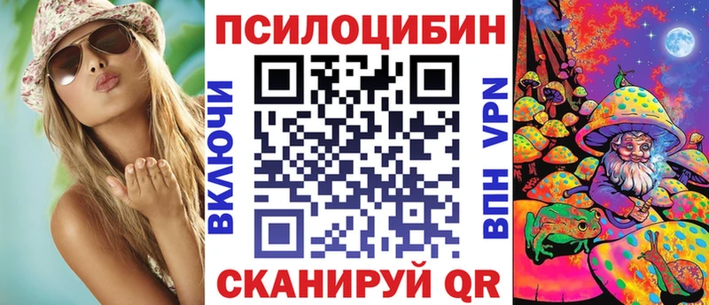 Псилоцибиновые грибы ЛСД  darknet как зайти  Торопец 